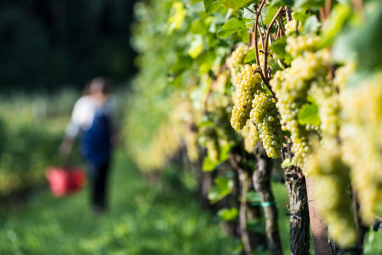 Hotel Christof Appiano Sulla Strada Del Vino Bagian luar foto